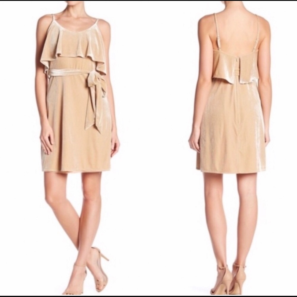 Elliant Women’s Beige Velvet Overlay Dress